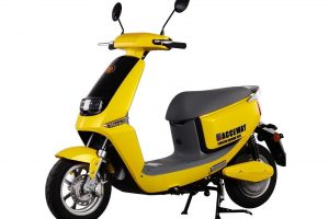 Elektroskuter Racceway Smart